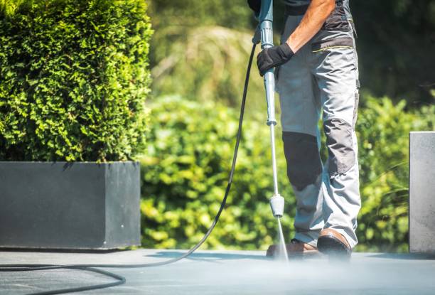 Best Boat and Dock Cleaning  in Century, FL