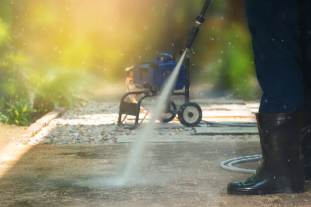 Best Gutter Cleaning  in Century, FL